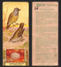 1924 Patterson's Bird Chocolate Vintage Trading Cards U Pick Singles #1-46 35 Connecticut Warbler  - TvMovieCards.com