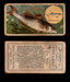 1910 Fish and Bait Imperial Tobacco Vintage Trading Cards You Pick Singles #1-50 #35 The Bass  - TvMovieCards.com