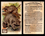 Interesting Animals You Pick Single Card #1-60 1892 J10 Church Arm & Hammer #35 Racoon Dwight Soda  - TvMovieCards.com