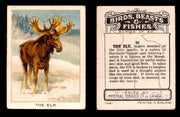 1923 Birds, Beasts, Fishes C1 Imperial Tobacco Vintage Trading Cards Singles #36 The Elk  - TvMovieCards.com