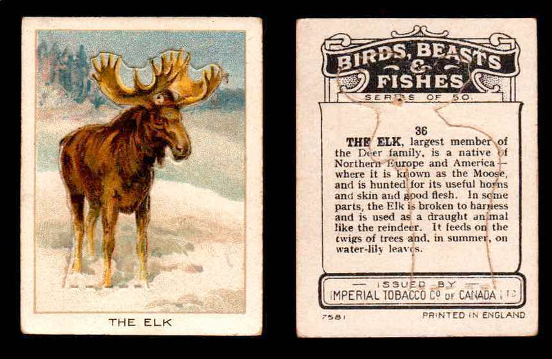 1923 Birds, Beasts, Fishes C1 Imperial Tobacco Vintage Trading Cards Singles #36 The Elk  - TvMovieCards.com