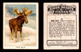 1923 Birds, Beasts, Fishes C1 Imperial Tobacco Vintage Trading Cards Singles #36 The Elk  - TvMovieCards.com