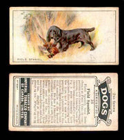 1925 Dogs 2nd Series Imperial Tobacco Vintage Trading Cards U Pick Singles #1-50 #36 Field Spaniel  - TvMovieCards.com