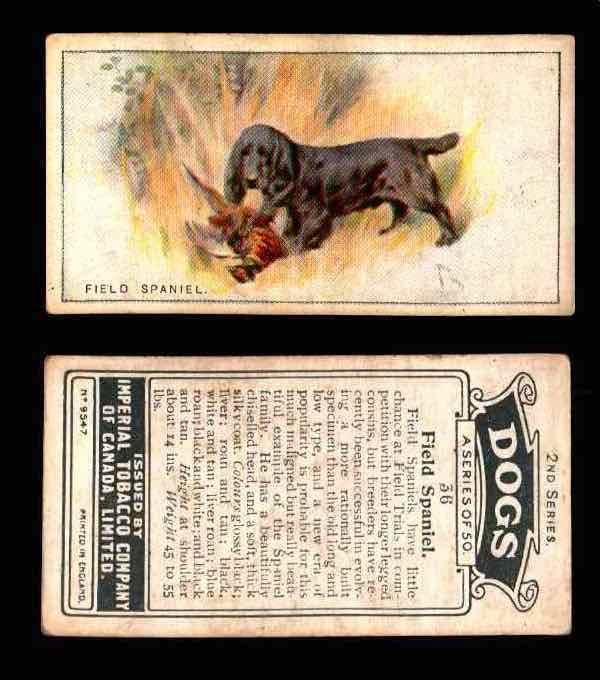 1925 Dogs 2nd Series Imperial Tobacco Vintage Trading Cards U Pick Singles #1-50 #36 Field Spaniel  - TvMovieCards.com