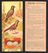 1924 Patterson's Bird Chocolate Vintage Trading Cards U Pick Singles #1-46 36 Bronzed Crackle  - TvMovieCards.com