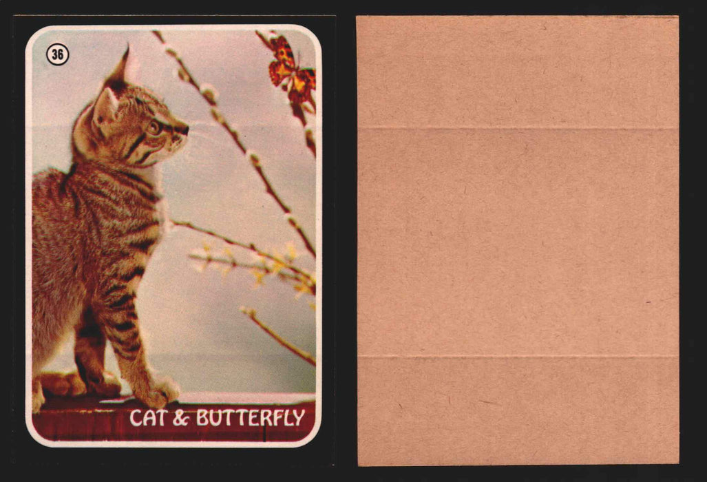 Zoo's Who Topps Animal Sticker Trading Cards You Pick Singles #1-40 1975 #36 Tabby Cat & Butterfly  - TvMovieCards.com