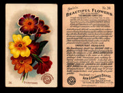 Beautiful Flowers New Series You Pick Singles Card #1-#60 Arm & Hammer 1888 J16 #36 Primroses  - TvMovieCards.com