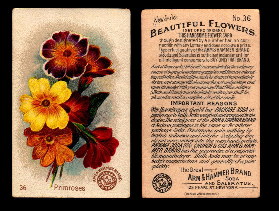 Beautiful Flowers New Series You Pick Singles Card #1-#60 Arm & Hammer 1888 J16 #36 Primroses  - TvMovieCards.com