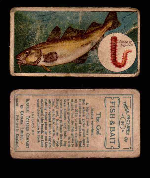 1910 Fish and Bait Imperial Tobacco Vintage Trading Cards You Pick Singles #1-50 #36 The Cod  - TvMovieCards.com