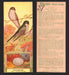 1924 Patterson's Bird Chocolate Vintage Trading Cards U Pick Singles #1-46 37 Tree Swallow  - TvMovieCards.com