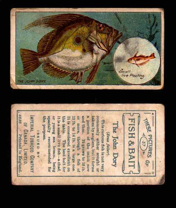 1910 Fish and Bait Imperial Tobacco Vintage Trading Cards You Pick Singles #1-50 #37 The John Dory  - TvMovieCards.com