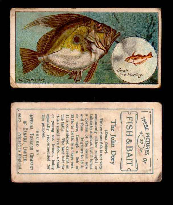 1910 Fish and Bait Imperial Tobacco Vintage Trading Cards You Pick Singles #1-50 #37 The John Dory  - TvMovieCards.com
