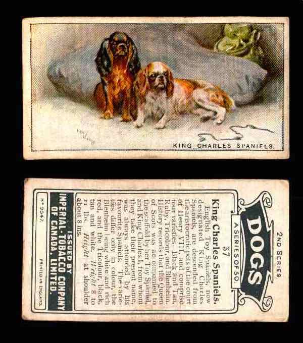 1925 Dogs 2nd Series Imperial Tobacco Vintage Trading Cards U Pick Singles #1-50 #37 King Charles Spaniels  - TvMovieCards.com