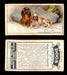 1925 Dogs 2nd Series Imperial Tobacco Vintage Trading Cards U Pick Singles #1-50 #37 King Charles Spaniels  - TvMovieCards.com
