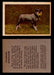 1957 Dogs Premiere Oak Man. R-724-4 Vintage Trading Cards You Pick Singles #1-42 #38 Standard Schnauzer  - TvMovieCards.com