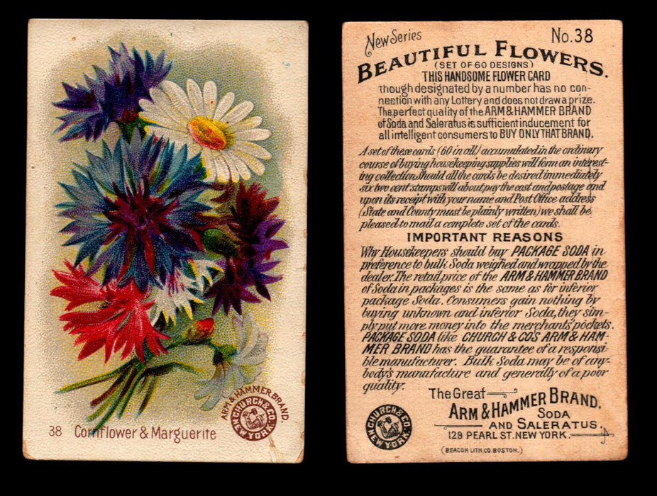 Beautiful Flowers New Series You Pick Singles Card #1-#60 Arm & Hammer 1888 J16 #38 Corn Flower & Marguerite  - TvMovieCards.com