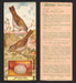 1924 Patterson's Bird Chocolate Vintage Trading Cards U Pick Singles #1-46 38 Red-Eyed Vireo  - TvMovieCards.com