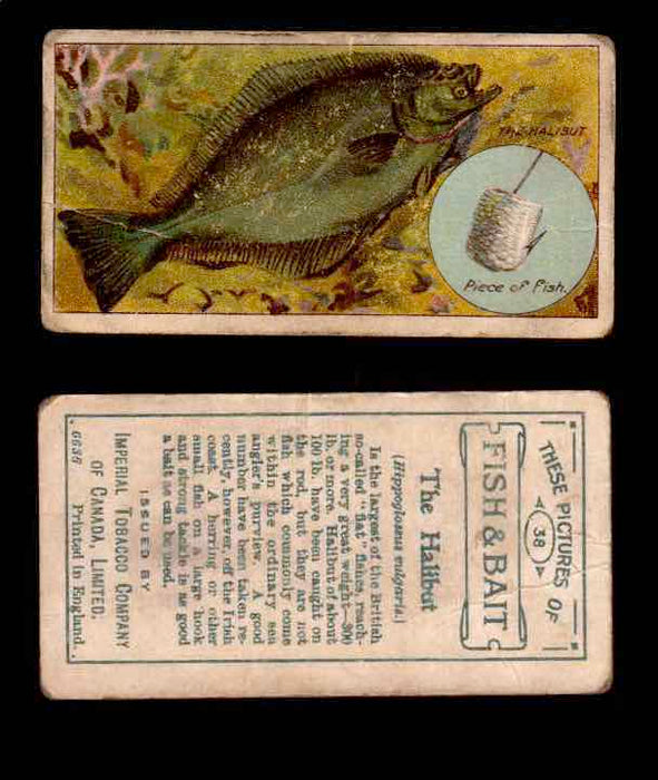 1910 Fish and Bait Imperial Tobacco Vintage Trading Cards You Pick Singles #1-50 #38 The Halibut  - TvMovieCards.com