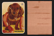 Zoo's Who Topps Animal Sticker Trading Cards You Pick Singles #1-40 1975 #38 Dachshund  - TvMovieCards.com