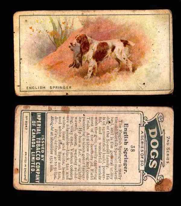 1925 Dogs 2nd Series Imperial Tobacco Vintage Trading Cards U Pick Singles #1-50 #38 English Springer  - TvMovieCards.com