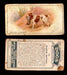 1925 Dogs 2nd Series Imperial Tobacco Vintage Trading Cards U Pick Singles #1-50 #38 English Springer  - TvMovieCards.com