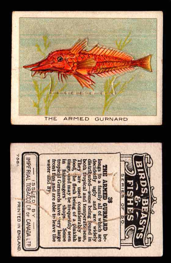 1923 Birds, Beasts, Fishes C1 Imperial Tobacco Vintage Trading Cards Singles #38 The Armed Gurnard  - TvMovieCards.com