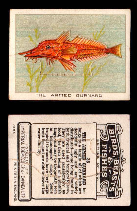 1923 Birds, Beasts, Fishes C1 Imperial Tobacco Vintage Trading Cards Singles #38 The Armed Gurnard  - TvMovieCards.com