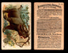 Interesting Animals You Pick Single Card #1-60 1892 J10 Church Arm & Hammer #38 Rhinoceros Several Creases  - TvMovieCards.com