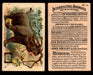 Interesting Animals You Pick Single Card #1-60 1892 J10 Church Arm & Hammer #38 Rhinoceros Dwight Soda  - TvMovieCards.com