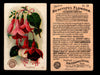 Beautiful Flowers New Series You Pick Singles Card #1-#60 Arm & Hammer 1888 J16 #39 Fuchsia  - TvMovieCards.com