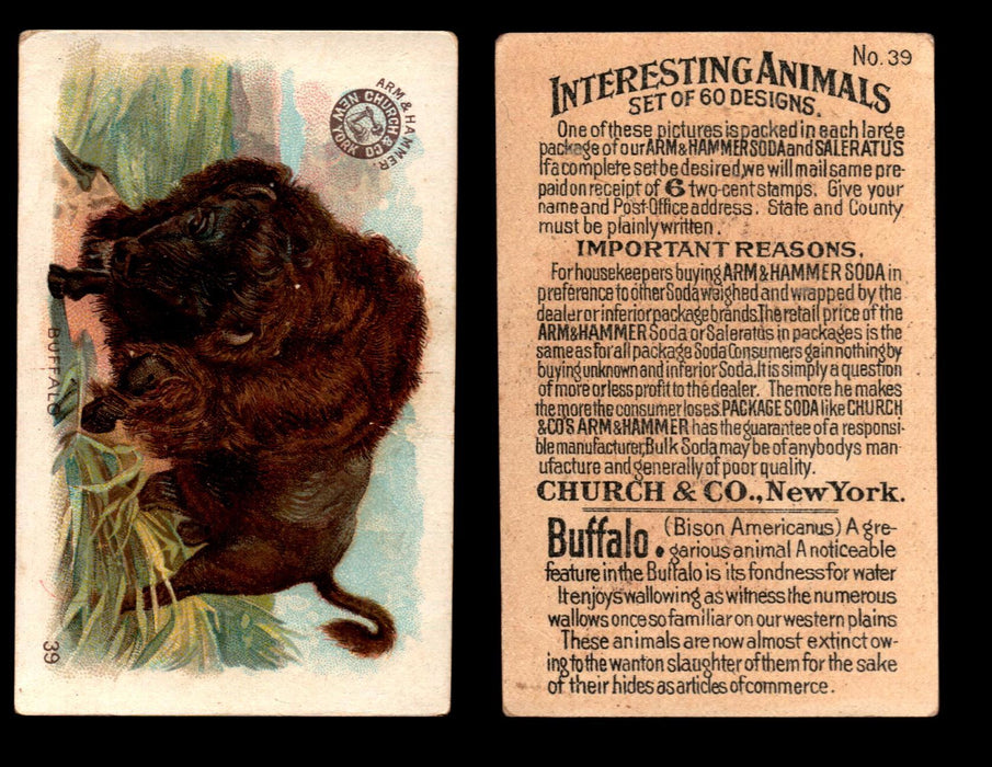 Interesting Animals You Pick Single Card #1-60 1892 J10 Church Arm & Hammer #39 Buffalo  - TvMovieCards.com