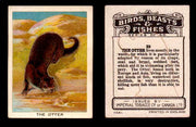 1923 Birds, Beasts, Fishes C1 Imperial Tobacco Vintage Trading Cards Singles #39 The Otter  - TvMovieCards.com