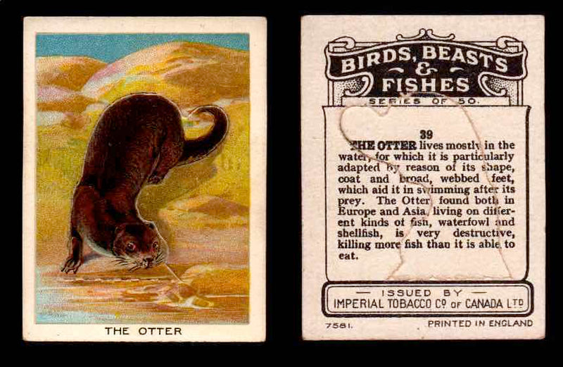 1923 Birds, Beasts, Fishes C1 Imperial Tobacco Vintage Trading Cards Singles #39 The Otter  - TvMovieCards.com