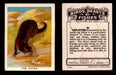 1923 Birds, Beasts, Fishes C1 Imperial Tobacco Vintage Trading Cards Singles #39 The Otter  - TvMovieCards.com