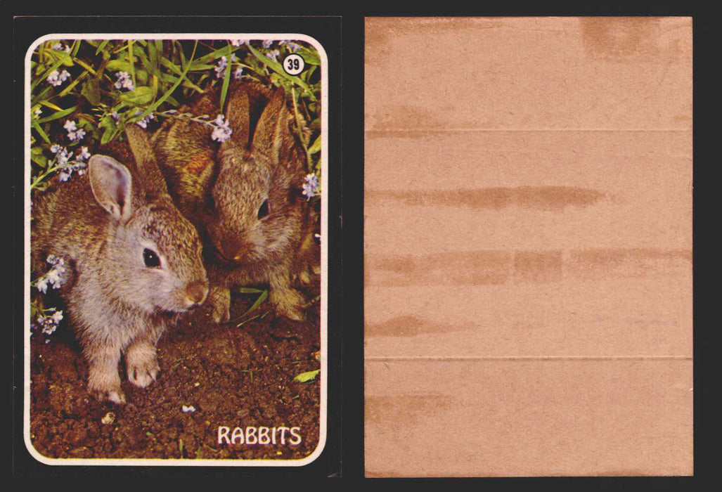 Zoo's Who Topps Animal Sticker Trading Cards You Pick Singles #1-40 1975 #39 Rabbits  - TvMovieCards.com