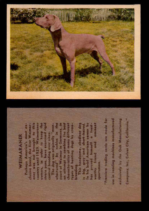 1957 Dogs Premiere Oak Man. R-724-4 Vintage Trading Cards You Pick Singles #1-42 #39 Weimaraner  - TvMovieCards.com