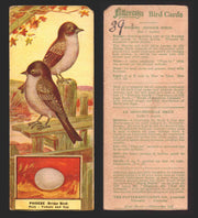 1924 Patterson's Bird Chocolate Vintage Trading Cards U Pick Singles #1-46 39 Phoebe (Bridge Bird)  - TvMovieCards.com