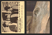 1966 Three 3 Stooges Fleer Vintage Trading Cards You Pick Singles #1-66 #39 Creased  - TvMovieCards.com