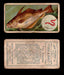1910 Fish and Bait Imperial Tobacco Vintage Trading Cards You Pick Singles #1-50 #39 The Pouting  - TvMovieCards.com