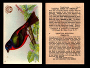 Birds - Useful Birds of America 3rd Series You Pick Singles Church & Dwight J-7 #3 Painted Bunting  - TvMovieCards.com