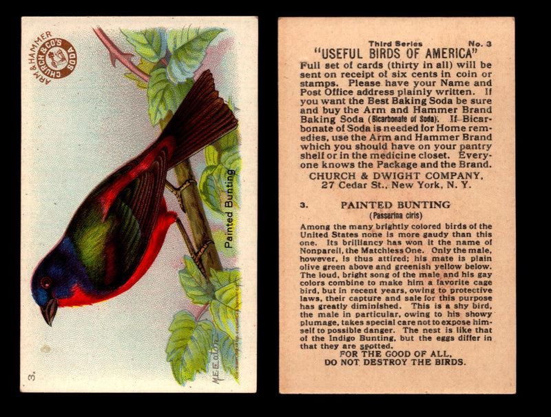 Birds - Useful Birds of America 3rd Series You Pick Singles Church & Dwight J-7 #3 Painted Bunting  - TvMovieCards.com