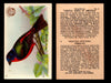 Birds - Useful Birds of America 3rd Series You Pick Singles Church & Dwight J-7 #3 Painted Bunting  - TvMovieCards.com