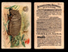 Interesting Animals You Pick Single Card #1-60 1892 J10 Church Arm & Hammer #3 Armadillo  - TvMovieCards.com