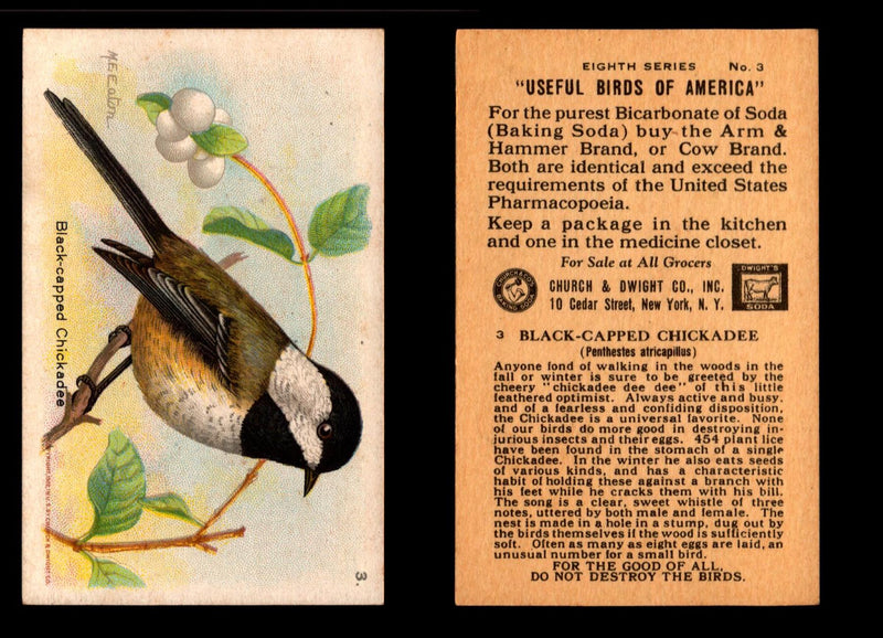 Birds - Useful Birds of America 8th Series You Pick Singles Church & Dwight J-9 #3 Black-capped Chickadee  - TvMovieCards.com