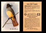 Birds - Useful Birds of America 10th Series You Pick Singles Church & Dwight J-9 #3 Crested Flycatcher  - TvMovieCards.com