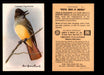 Birds - Useful Birds of America 10th Series You Pick Singles Church & Dwight J-9 #3 Crested Flycatcher  - TvMovieCards.com