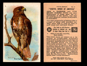 Birds - Useful Birds of America 5th Series You Pick Singles Church & Dwight J-9 #3 Red-tailed Hawk  - TvMovieCards.com