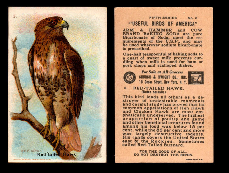 Birds - Useful Birds of America 5th Series You Pick Singles Church & Dwight J-9 #3 Red-tailed Hawk  - TvMovieCards.com