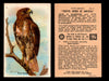 Birds - Useful Birds of America 5th Series You Pick Singles Church & Dwight J-9 #3 Red-tailed Hawk  - TvMovieCards.com