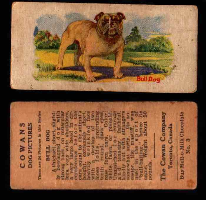 1929 V13 Cowans Dog Pictures Vintage Trading Cards You Pick Singles #1-24 #3 Bull Dog  - TvMovieCards.com